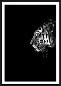 Black and White Tiger  Poster - dopoinkk